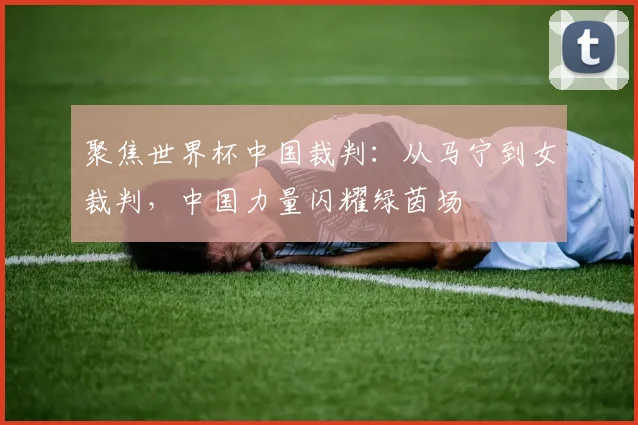 聚焦世界杯中国裁判：从马宁到女裁判，中国力量闪耀绿茵场